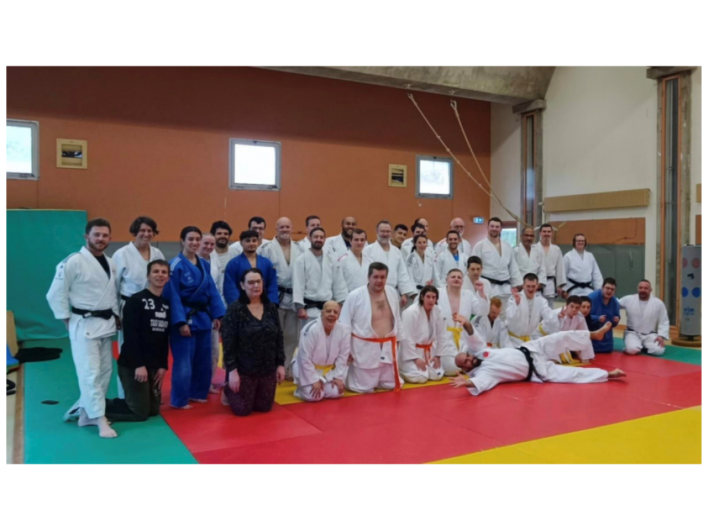 Image de l'actu 'Formation Para Judo'