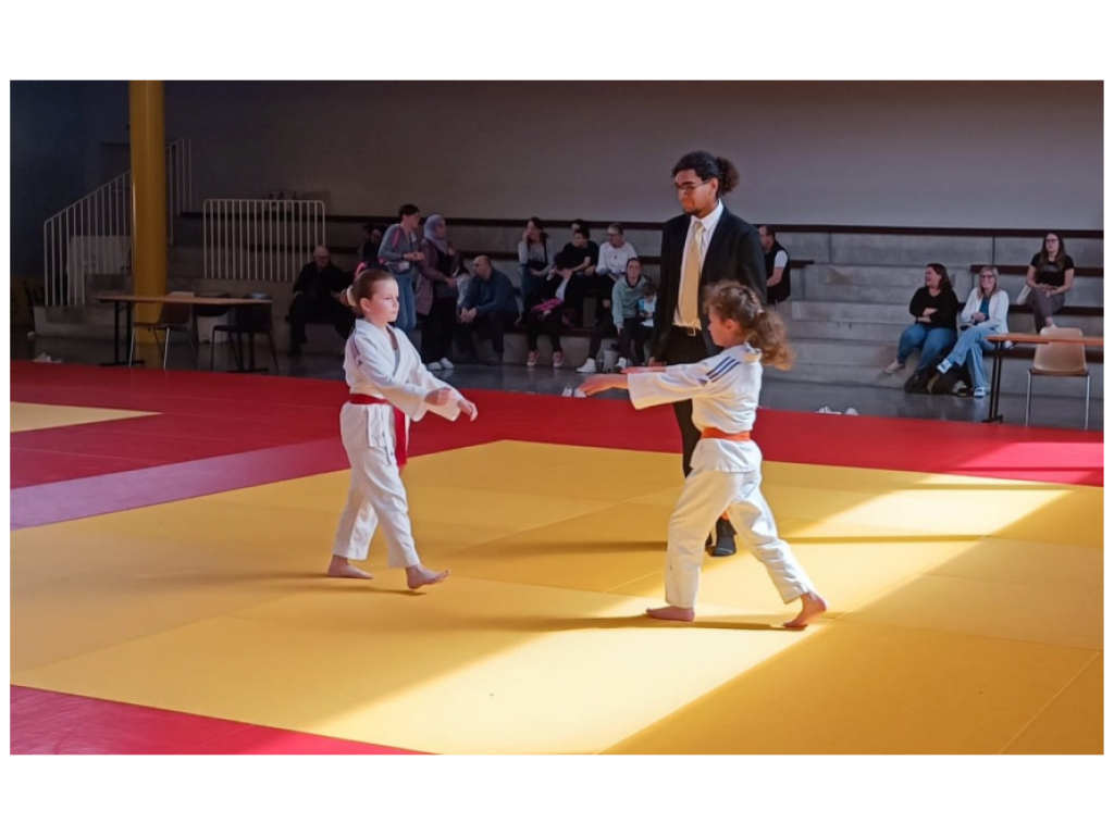 Image de l'actu 'Dernière Rencontre des Petits Tigres'