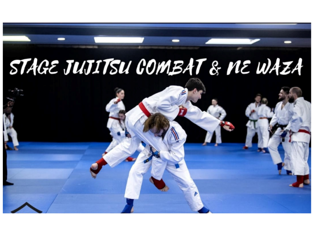 Image de l'actu 'Stage JUJITSU Combat et Ne-Waza'